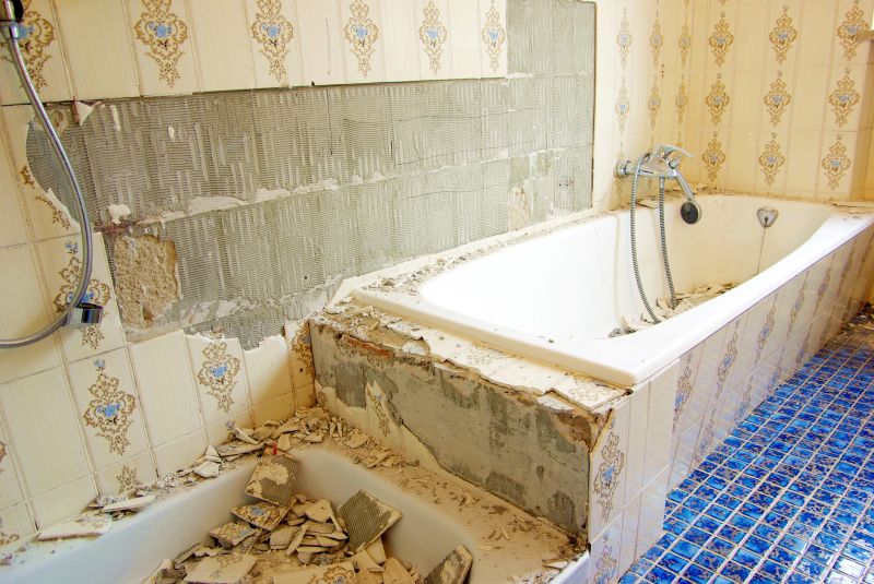 Bathroom Demolition in Progress